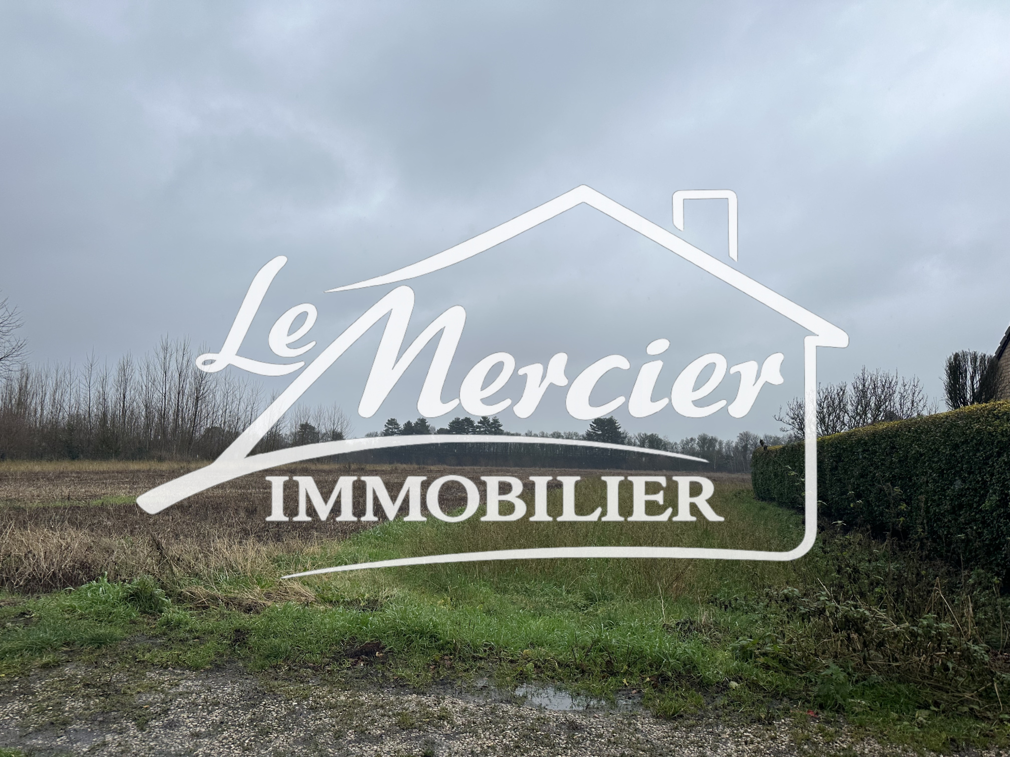 Agence immobilière de L agence D aulnoy