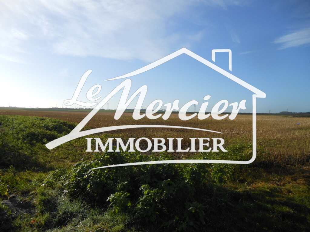 Agence immobilière de L agence D aulnoy