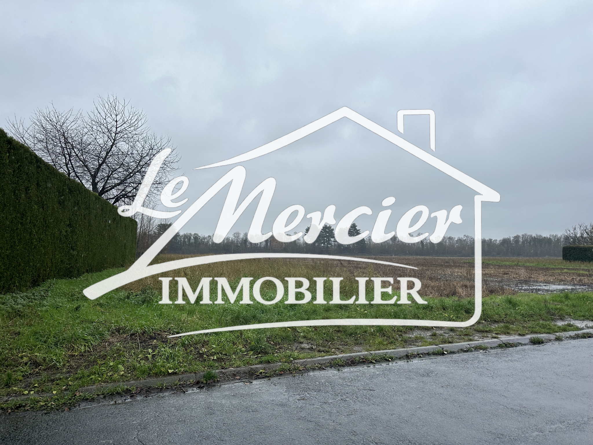 Agence immobilière de L agence D aulnoy